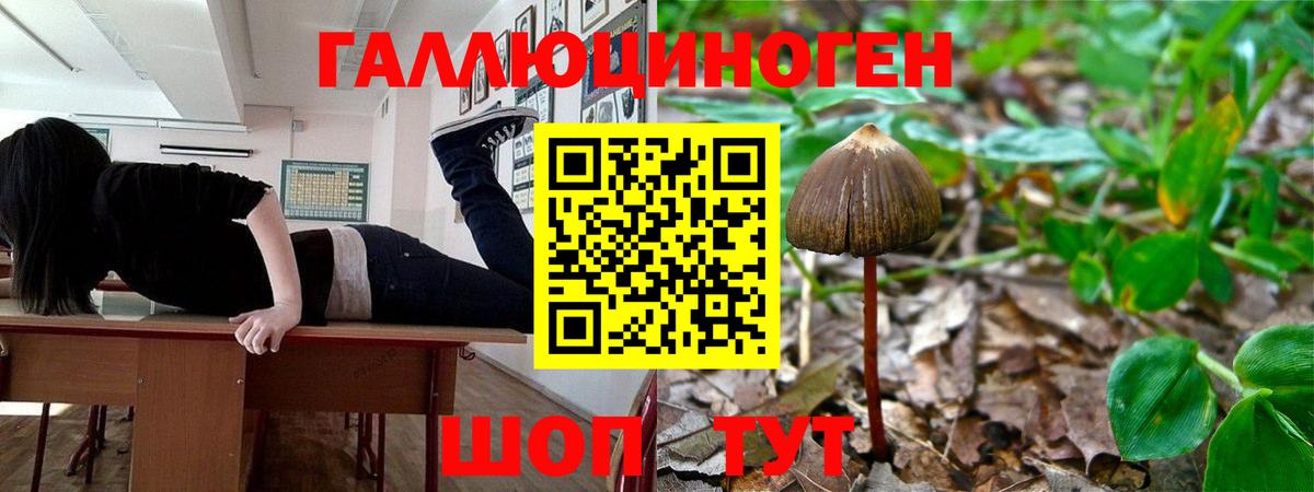 Галлюциногенные грибы Magic Shrooms  магазин    Щёкино  Вход с VPN  Псилоцибиновые грибы мухоморы 